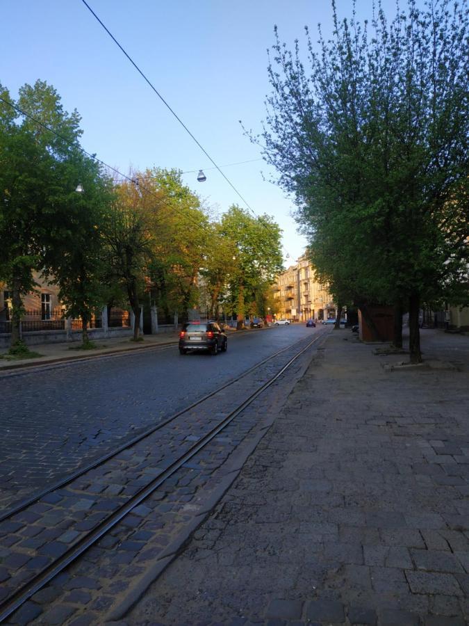 Cozy Studio For Couple Near Polytechnic University Lviv Extérieur photo